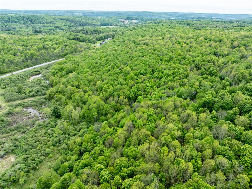 24 County Road New Berlin, NY 13411 - Photo 12 of 19