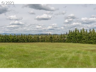 Northwest 214th Circle Ridgefield, WA 98642 - Photo 12 of 21 a view of an outdoor space and mountain view