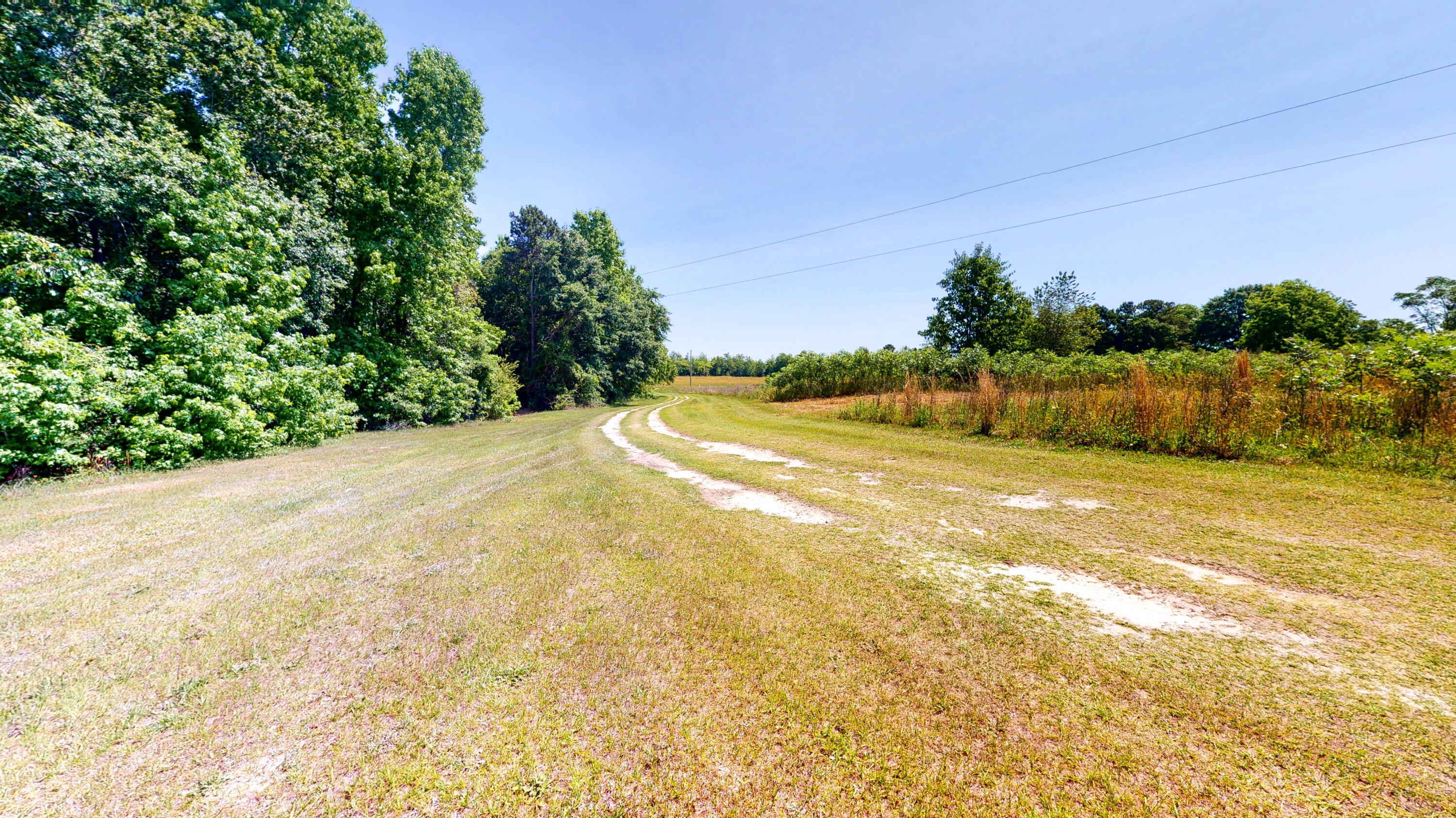 260 Holmes Pond Road Johnston, SC 29832 - Photo 15 of 16