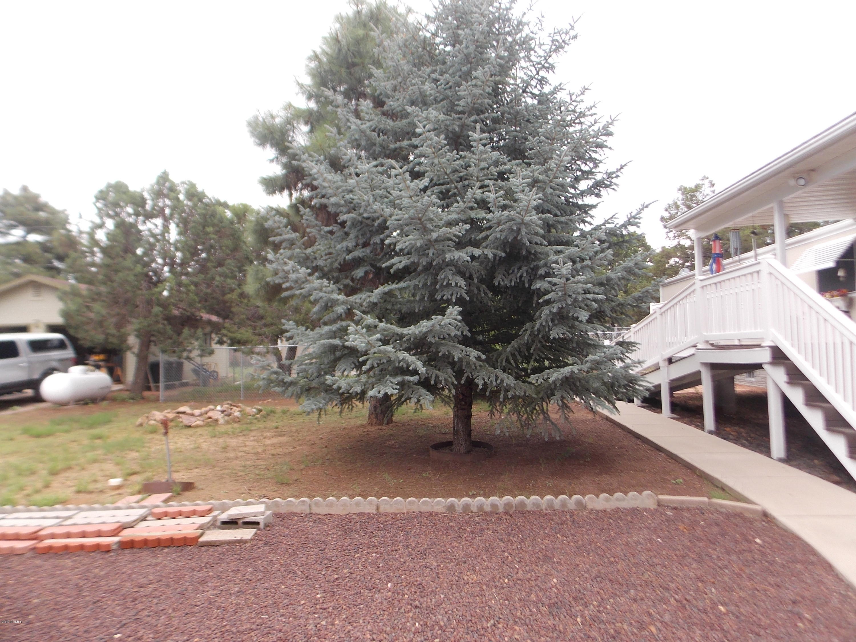 2115 Blue Jay Road Overgaard, AZ 85933 - Photo 22 of 28 DSCN8169