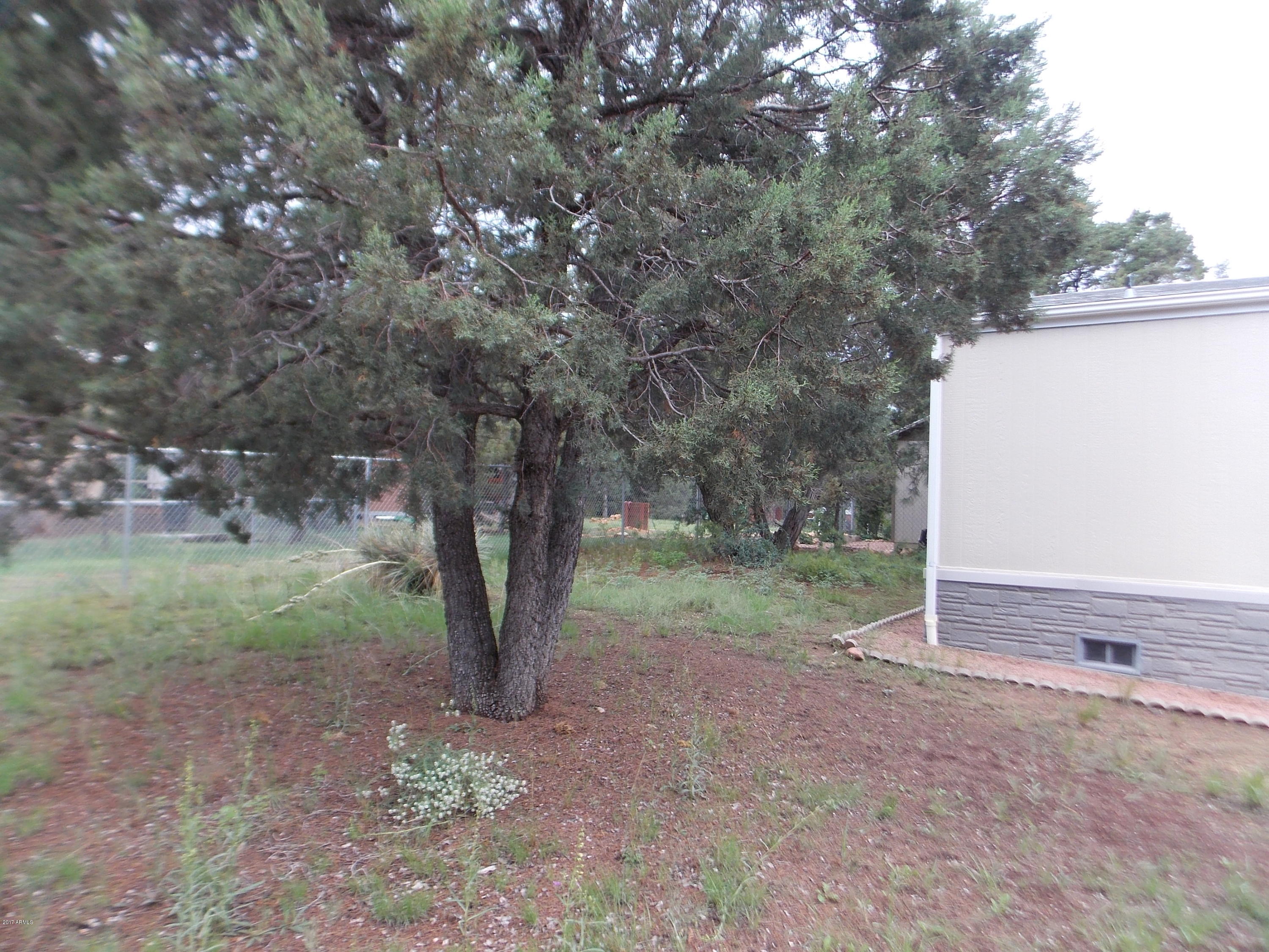 2115 Blue Jay Road Overgaard, AZ 85933 - Photo 24 of 28 DSCN8171