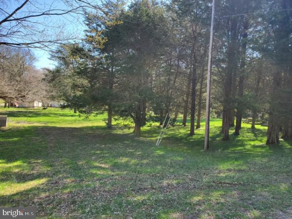 149 Beach Road Louisa, VA 23093 - Photo 9 of 25 Lot 740 .29 acres