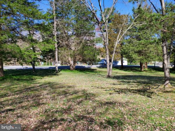 149 Beach Road Louisa, VA 23093 - Photo 10 of 25