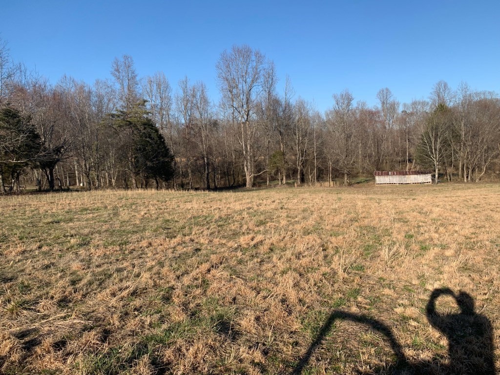 1695 Bell Harrison Road Evensville, TN 37332 - Photo 5 of 13 Gallery Image 5