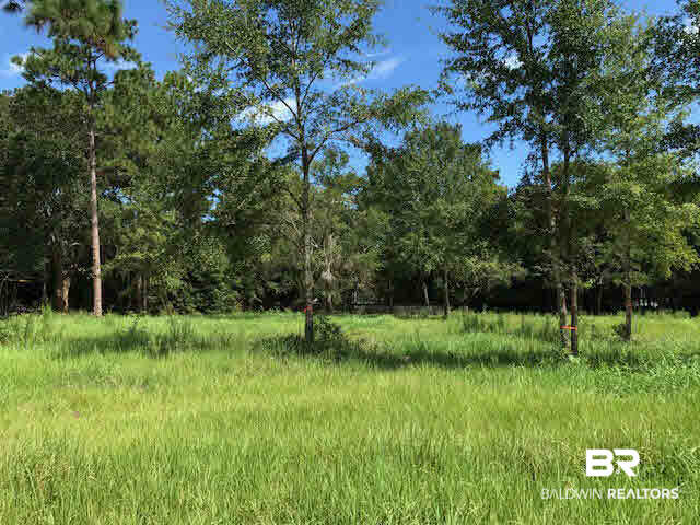 11167 Lark Avenue Fairhope, AL 36532 - Photo 1 of 1