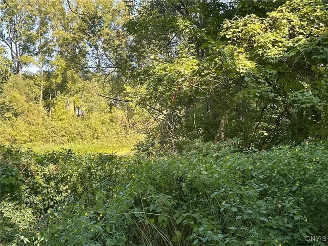 $127,500 | 7421 Highway 291, Marcy, NY 13469