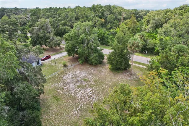 a view of a forest with a street
