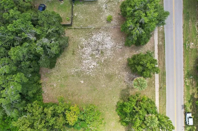an aerial view of a garden with plants