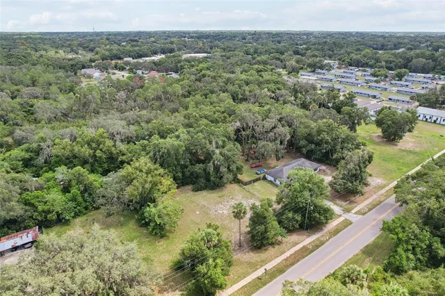 a view of a forest with a street