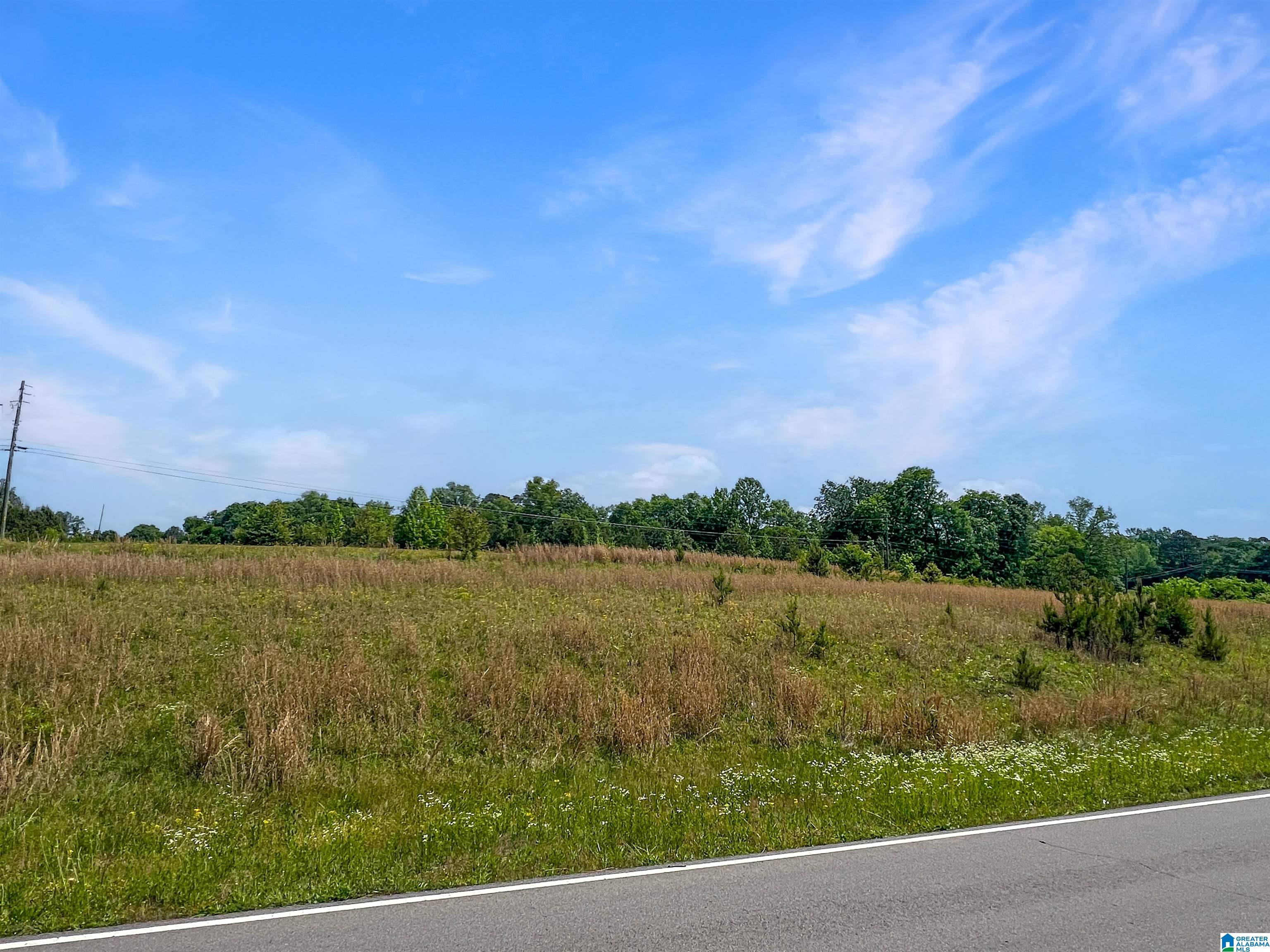 4694 Holly Grove Road Jasper, AL 35501 - Photo 39 of 42