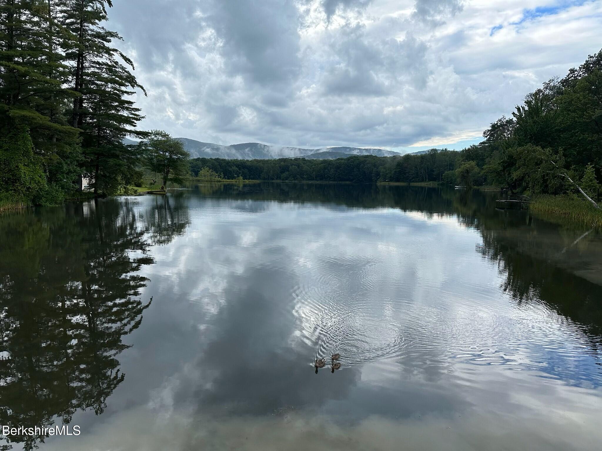 12 Squanto Road Lanesborough, MA 01237 - Photo 26 of 62 Geese Swimming