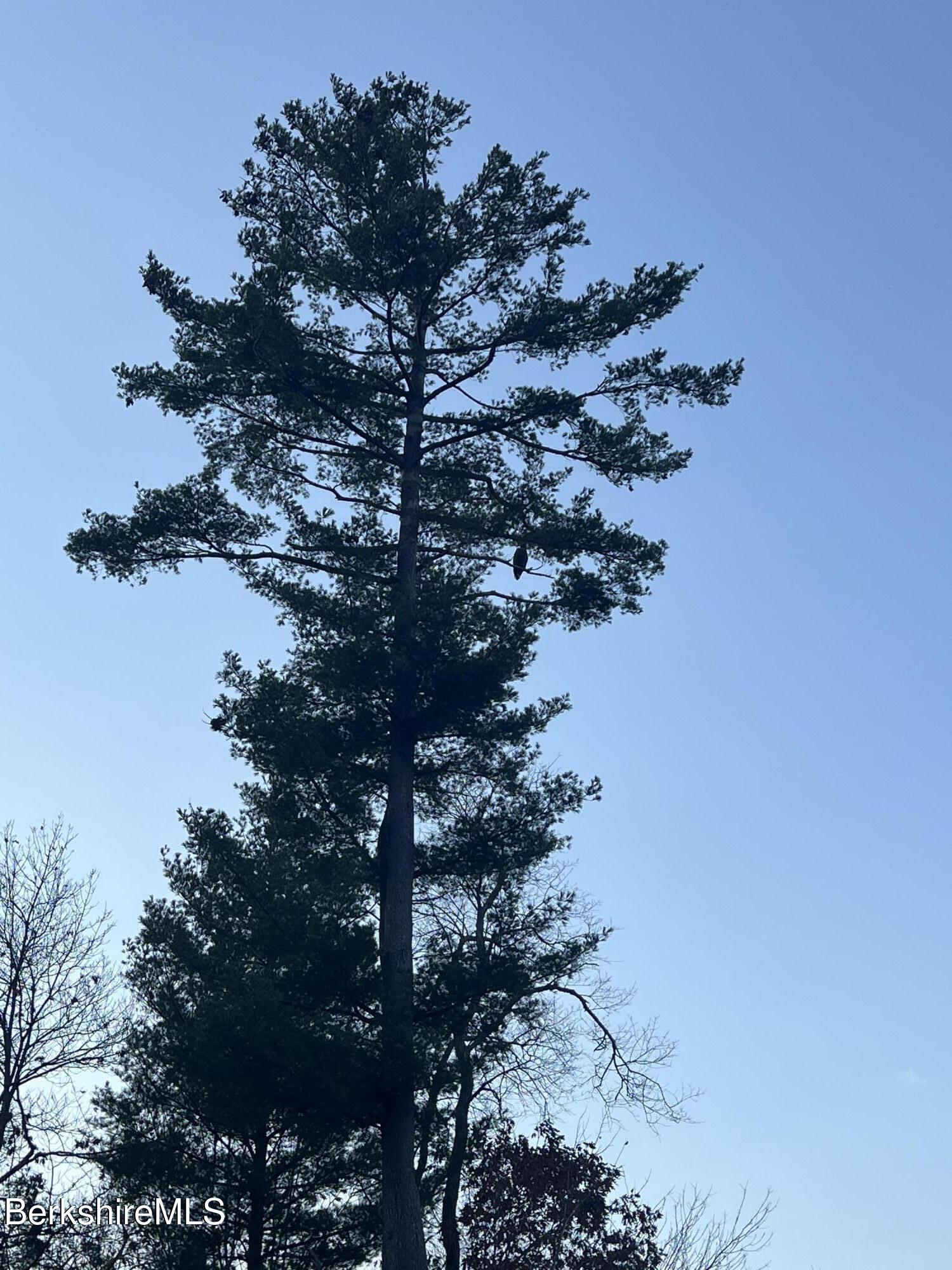 12 Squanto Road Lanesborough, MA 01237 - Photo 10 of 62 Eagle Perch