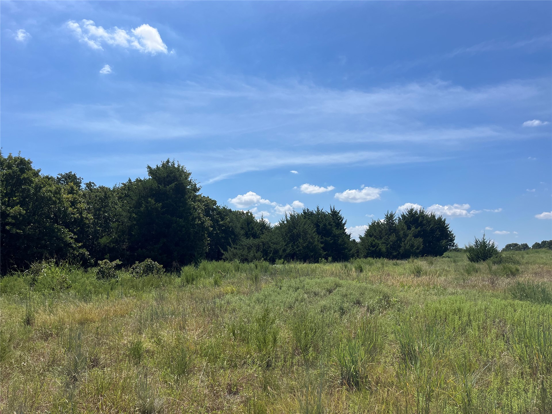 0 Range Road Perry, OK 73077 - Photo 23 of 32 Expansive property featuring a mix of mature deciduous and evergreen trees, open fields, natural vegetation, and a clear blue sky