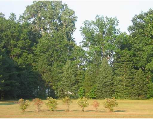 20063 Elwell Road Belleville, MI 48111 - Photo 8 of 8 Photo 8