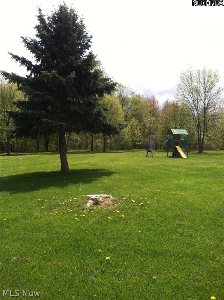 9959 Bell Road Newbury, OH 44065 - Photo 10 of 10 Deep and level back yard.
