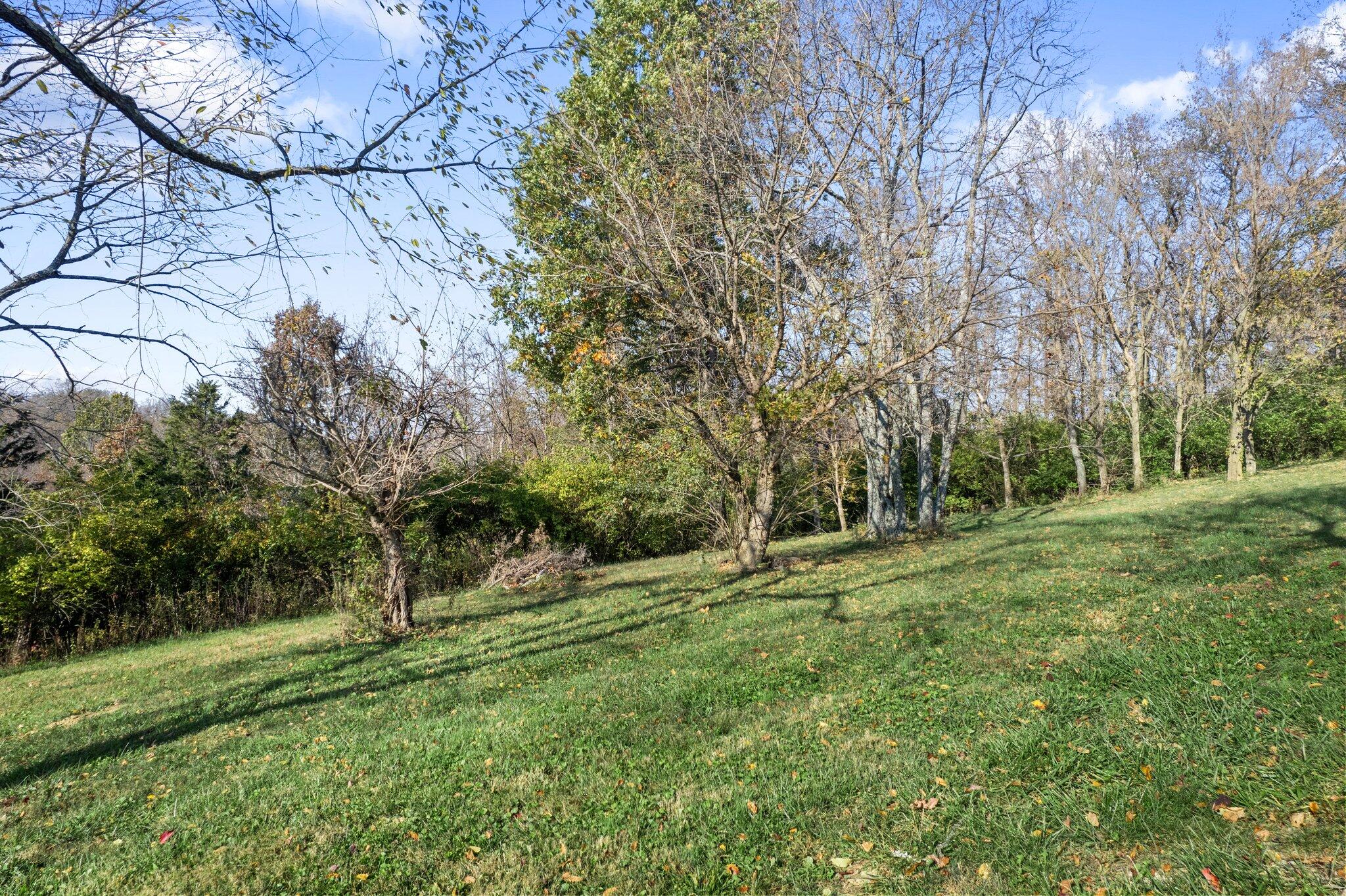 90 Joyce Way Augusta, KY 41002 - Photo 22 of 35 Gallery Image 22