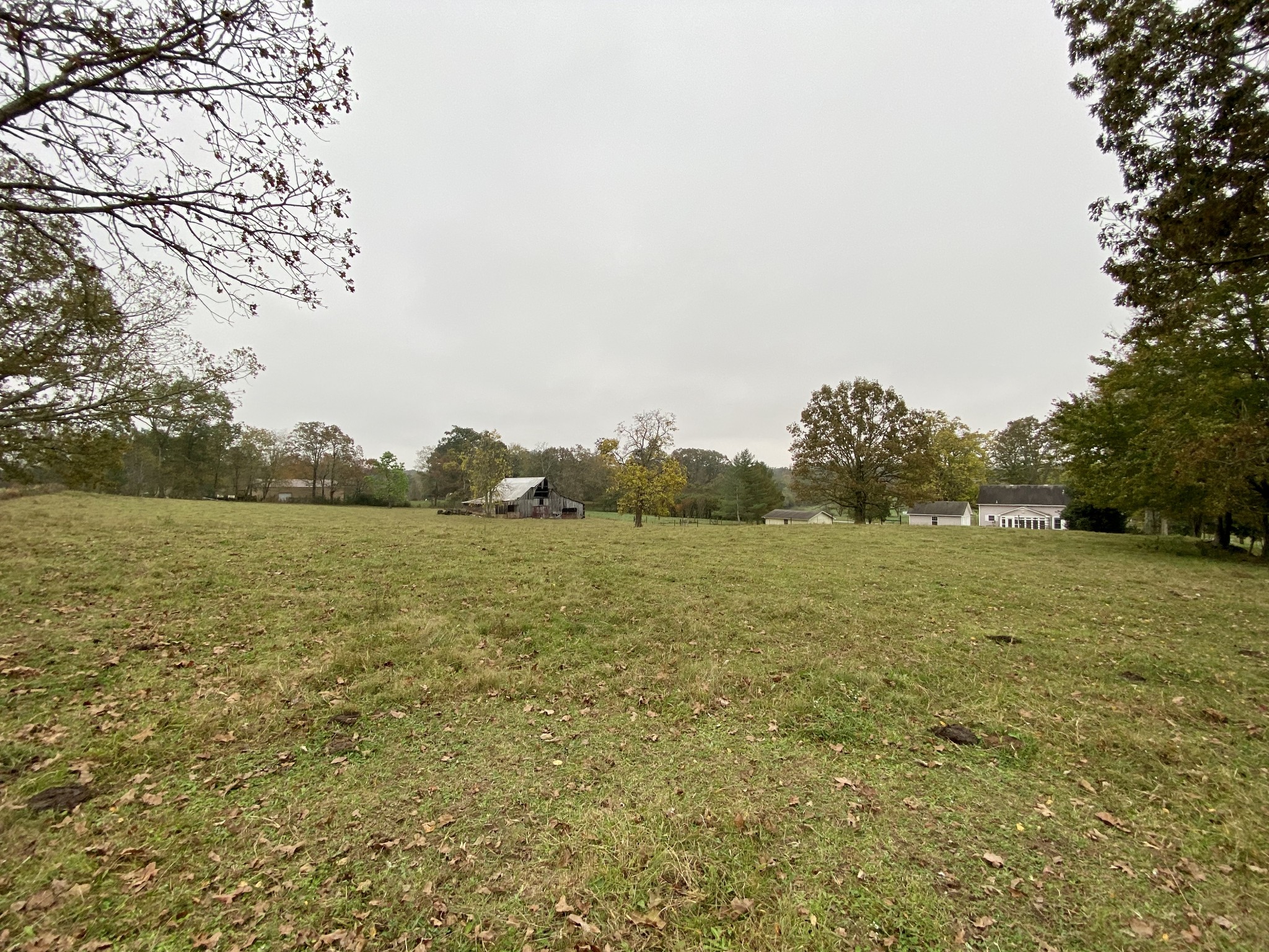 112 Bridy Road Summertown, TN 38483 - Photo 19 of 21 Gallery Image 19