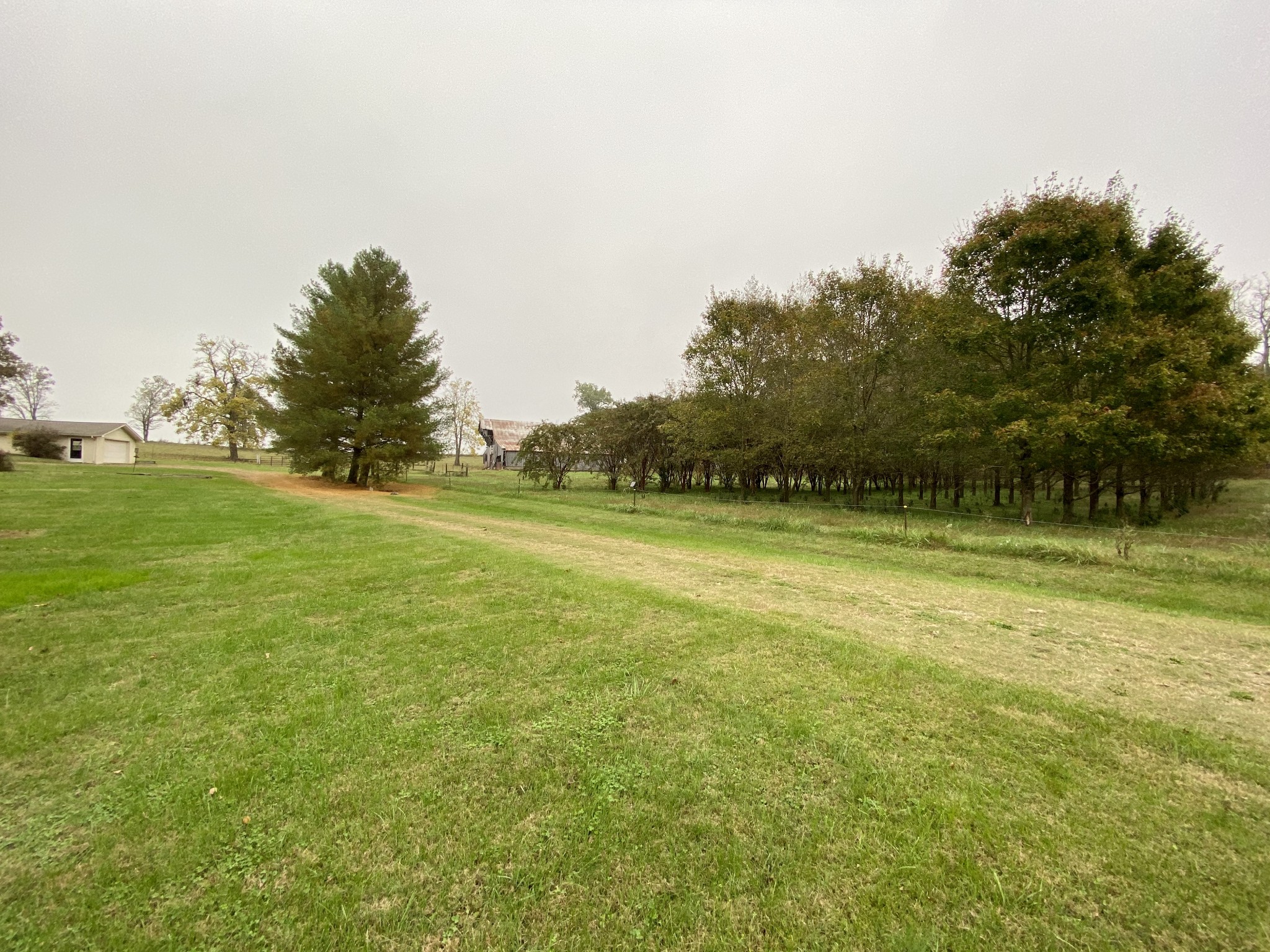 112 Bridy Road Summertown, TN 38483 - Photo 20 of 21 Gallery Image 20
