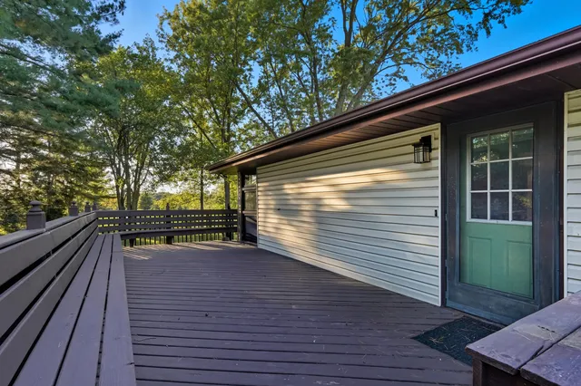 a view of a park with large trees