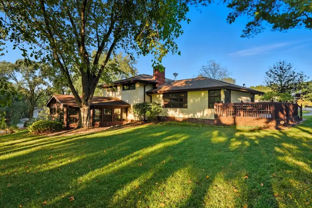 a view of a bunch of flowers