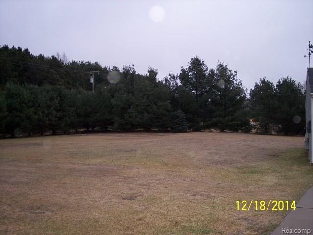 5814 Falkenbury Road North Branch, MI 48461 - Photo 3 of 32 2 (2).jpg