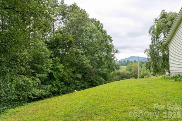 a view of a big yard with large trees