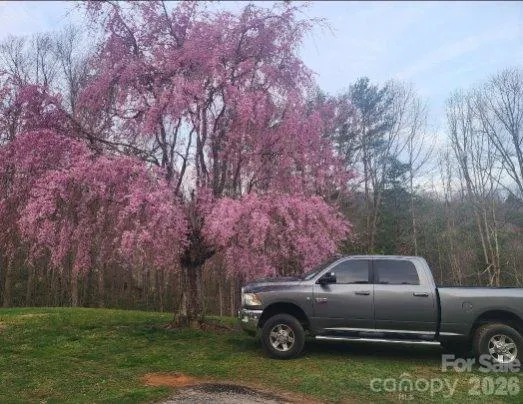 a view of a car parked in a yard