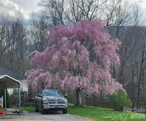 a car parked on the side of the road