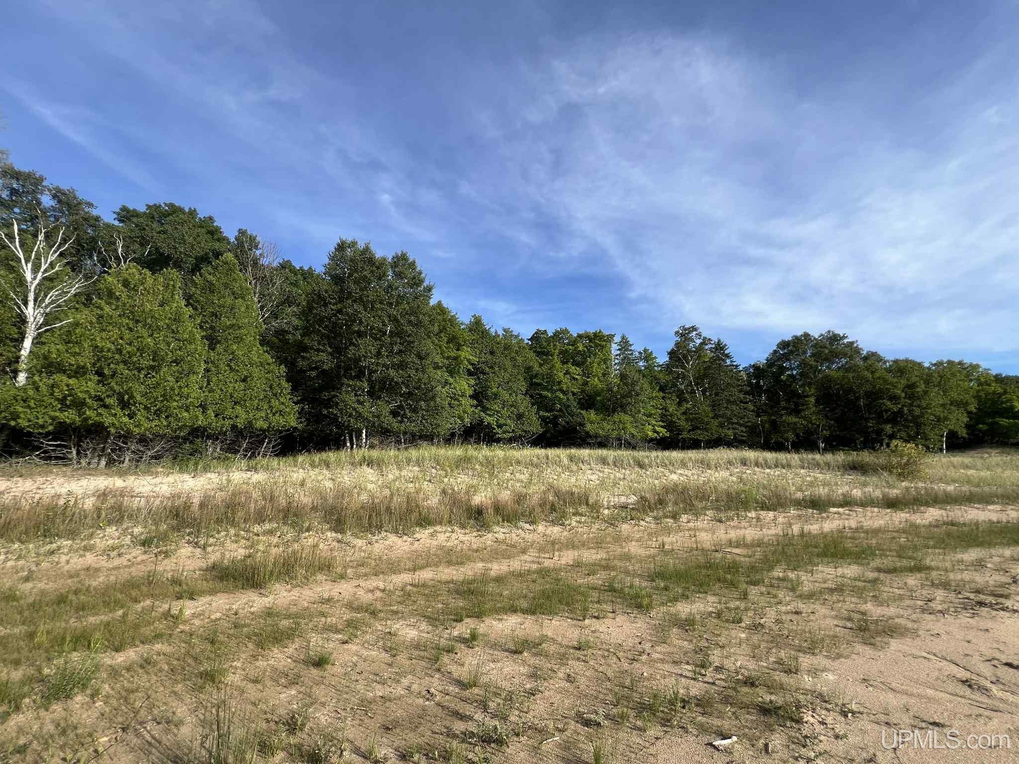 Tbd II Road Garden, MI 49835 - Photo 9 of 42