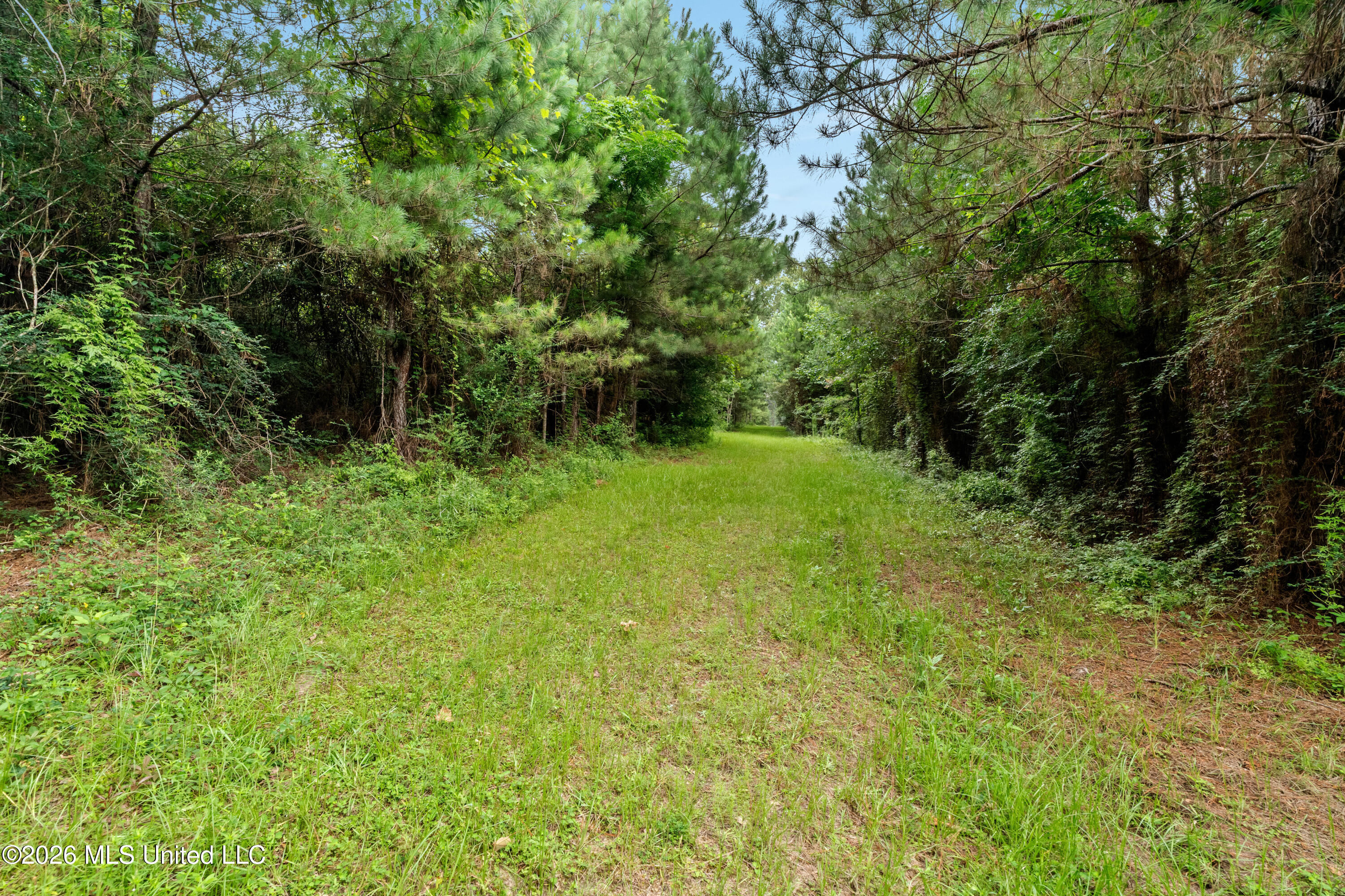 232 Knoxo Columbia Road Tylertown, MS 39667 - Photo 92 of 120 232_Knoxo_Columbia_Rd-91