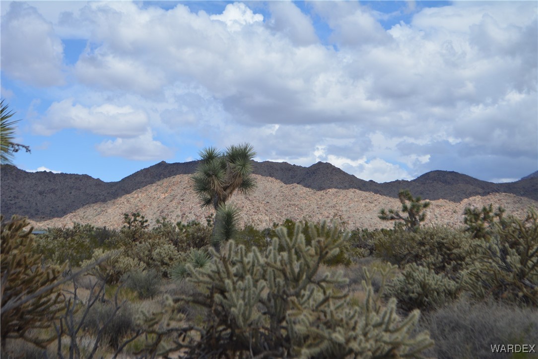 11900 Alan Road Yucca, AZ 86438 - Photo 52 of 99 Gallery Image 52