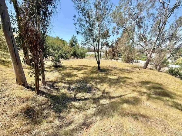 a view of empty space with trees