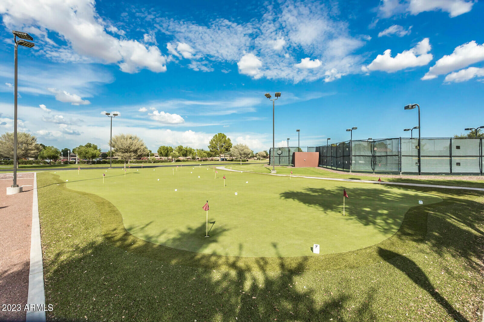42229 West Cribbage Road Maricopa, AZ 85138 - Photo 45 of 60 54_Cre8MyMediacom5173_mls