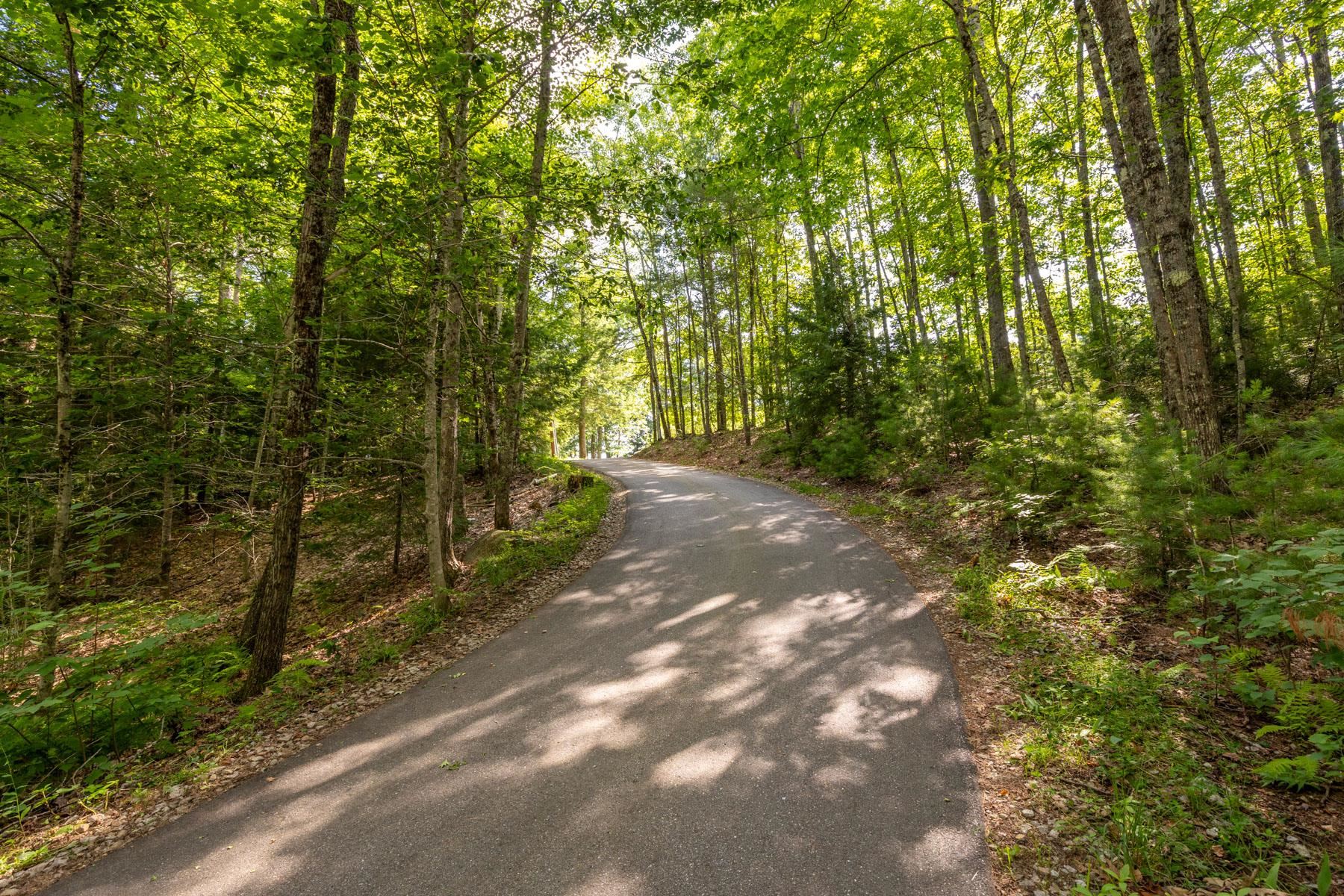 1539 Province Road Strafford, NH 03884 - Photo 46 of 52 Gallery Image 46
