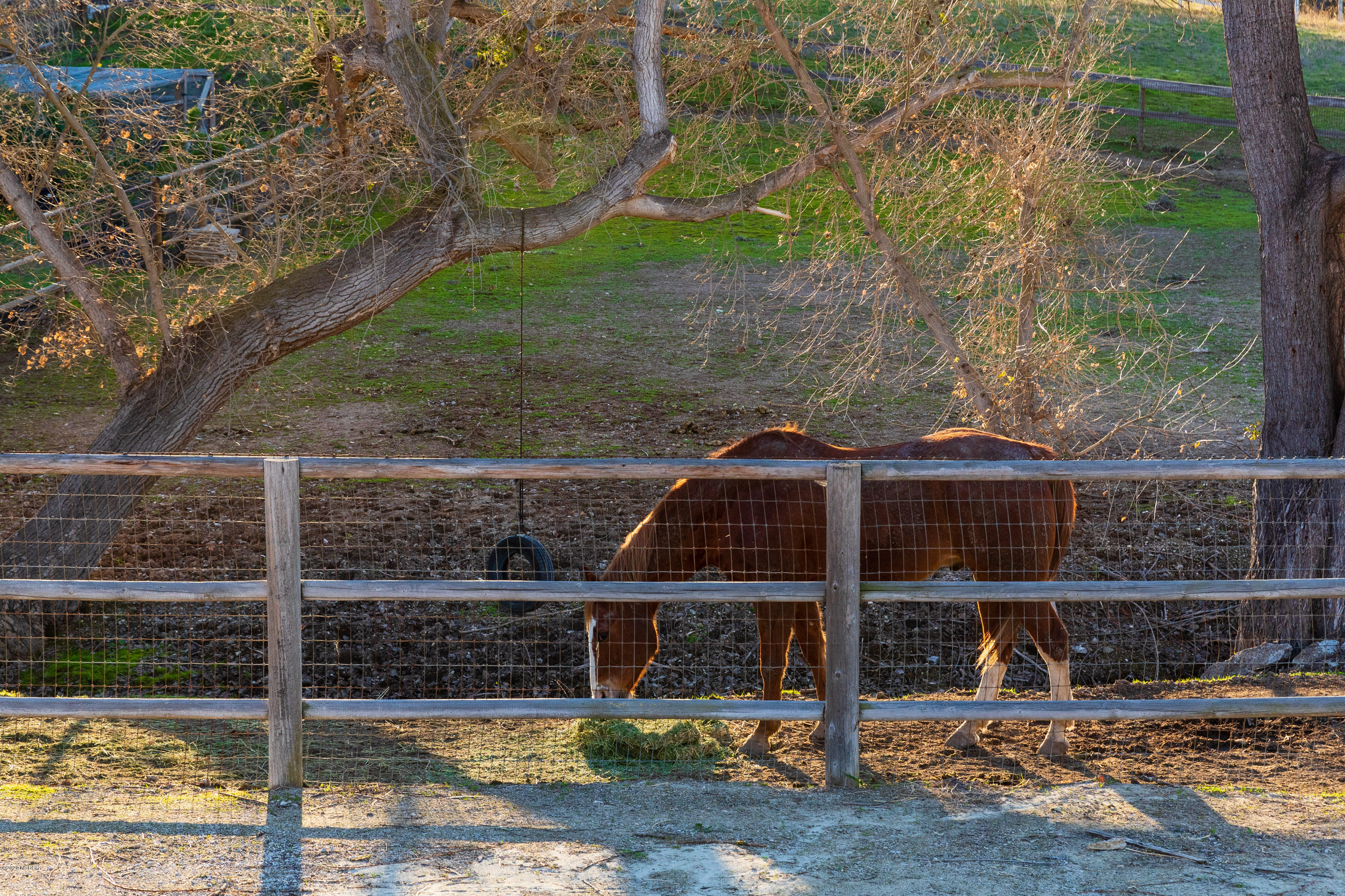 1489 Meadowvale Road Santa Ynez, CA 93460 - Photo 13 of 16 1489 Meadowvale web-33