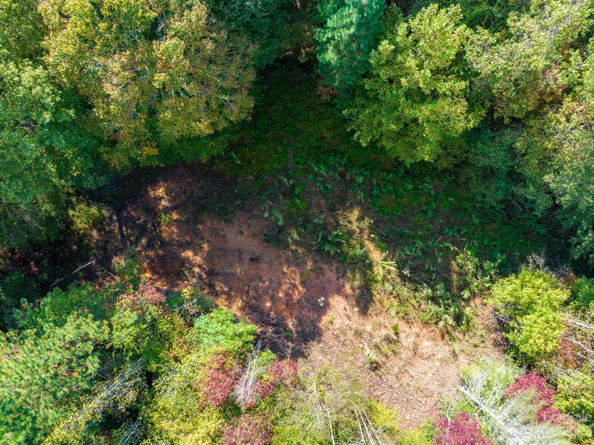 0 Roby Martin Road Lenoir, NC 28645 - Photo 11 of 37 Gallery Image 11