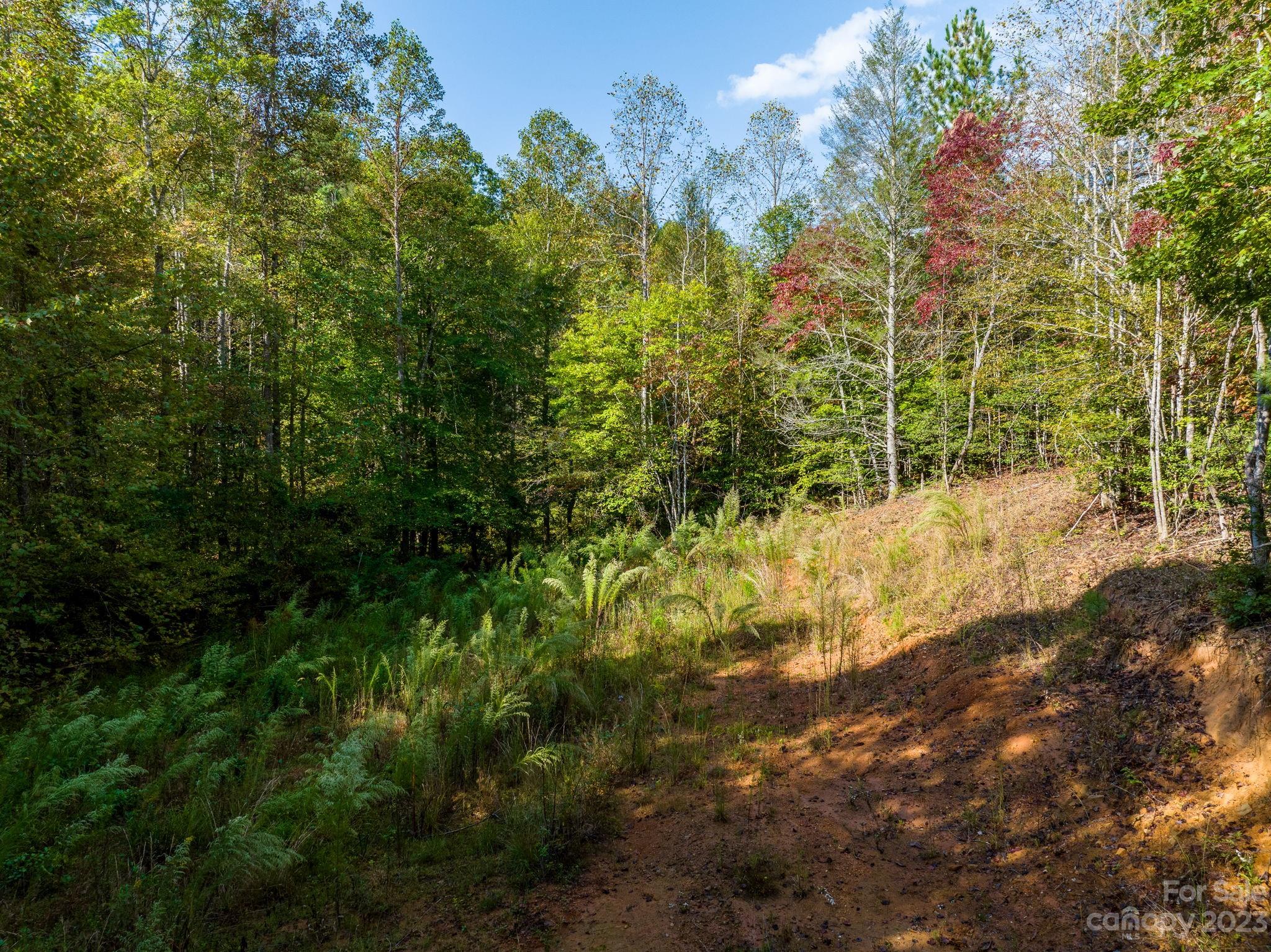 0 Roby Martin Road Lenoir, NC 28645 - Photo 12 of 37 Gallery Image 12