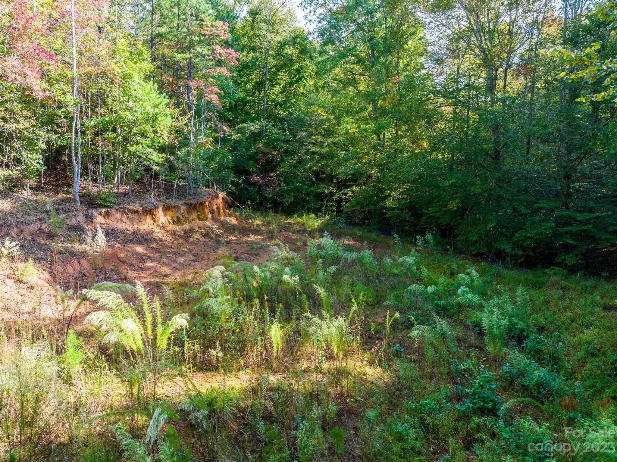 0 Roby Martin Road Lenoir, NC 28645 - Photo 13 of 37 Gallery Image 13