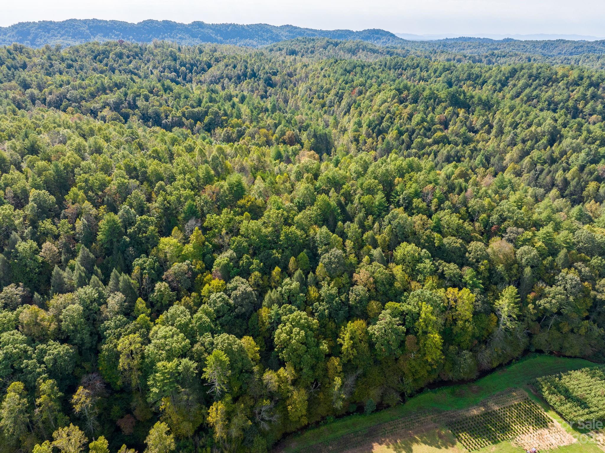 0 Roby Martin Road Lenoir, NC 28645 - Photo 14 of 37 Gallery Image 14