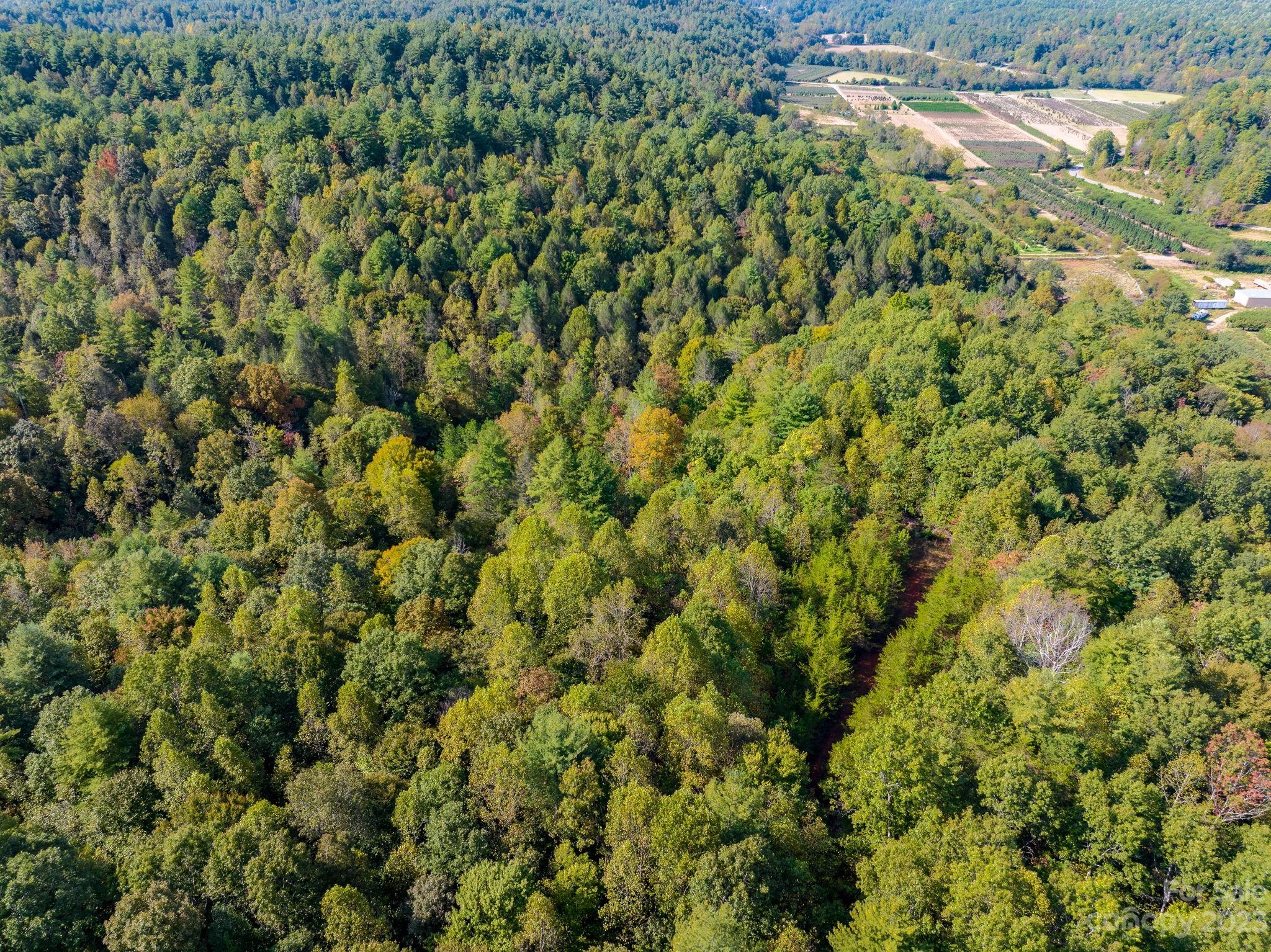 0 Roby Martin Road Lenoir, NC 28645 - Photo 15 of 37 Gallery Image 15