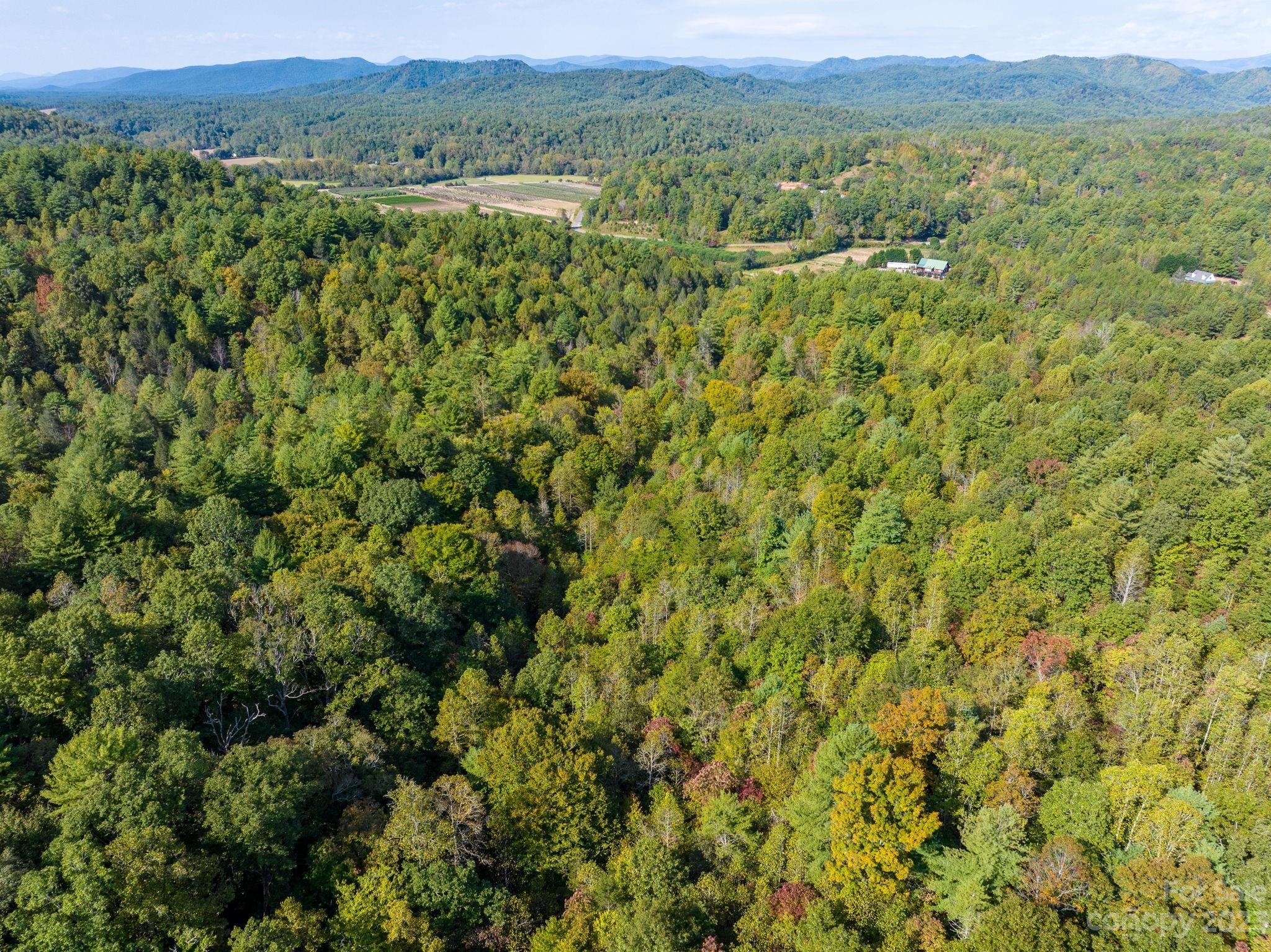 0 Roby Martin Road Lenoir, NC 28645 - Photo 16 of 37 Gallery Image 16