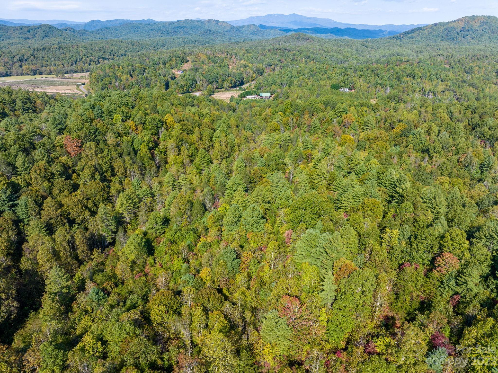 0 Roby Martin Road Lenoir, NC 28645 - Photo 17 of 37 Gallery Image 17