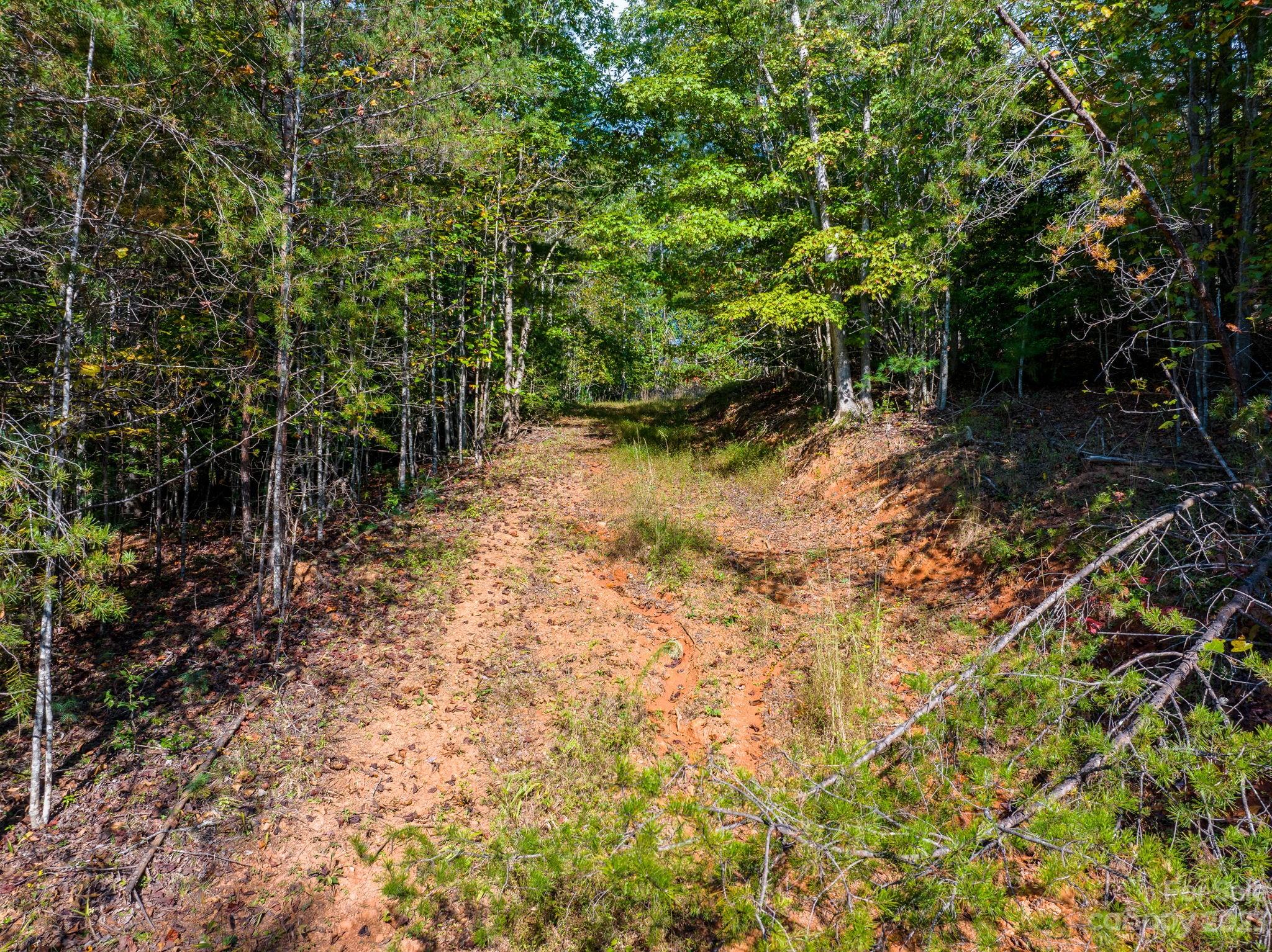 0 Roby Martin Road Lenoir, NC 28645 - Photo 18 of 37 Gallery Image 18