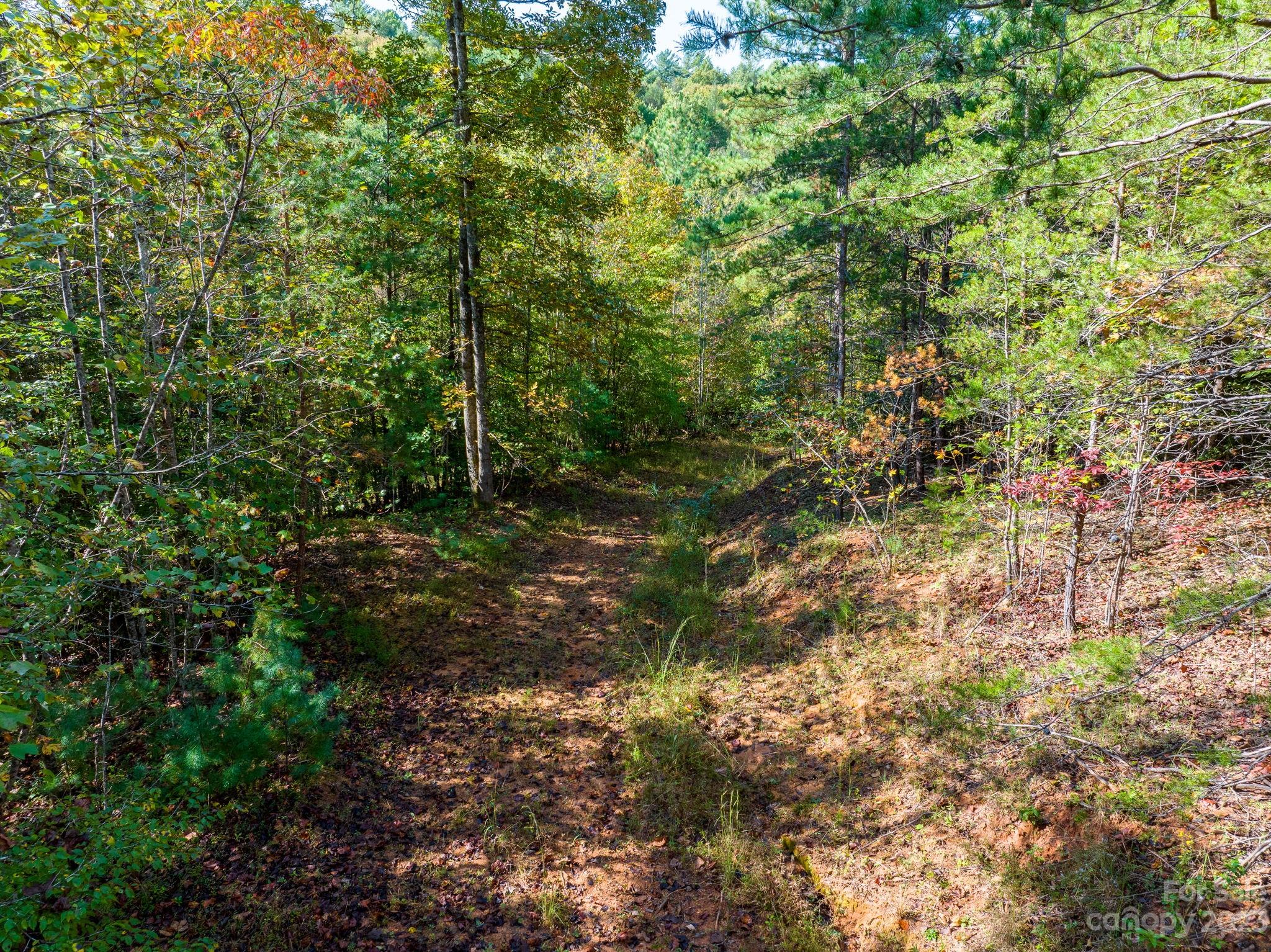 0 Roby Martin Road Lenoir, NC 28645 - Photo 19 of 37 Gallery Image 19