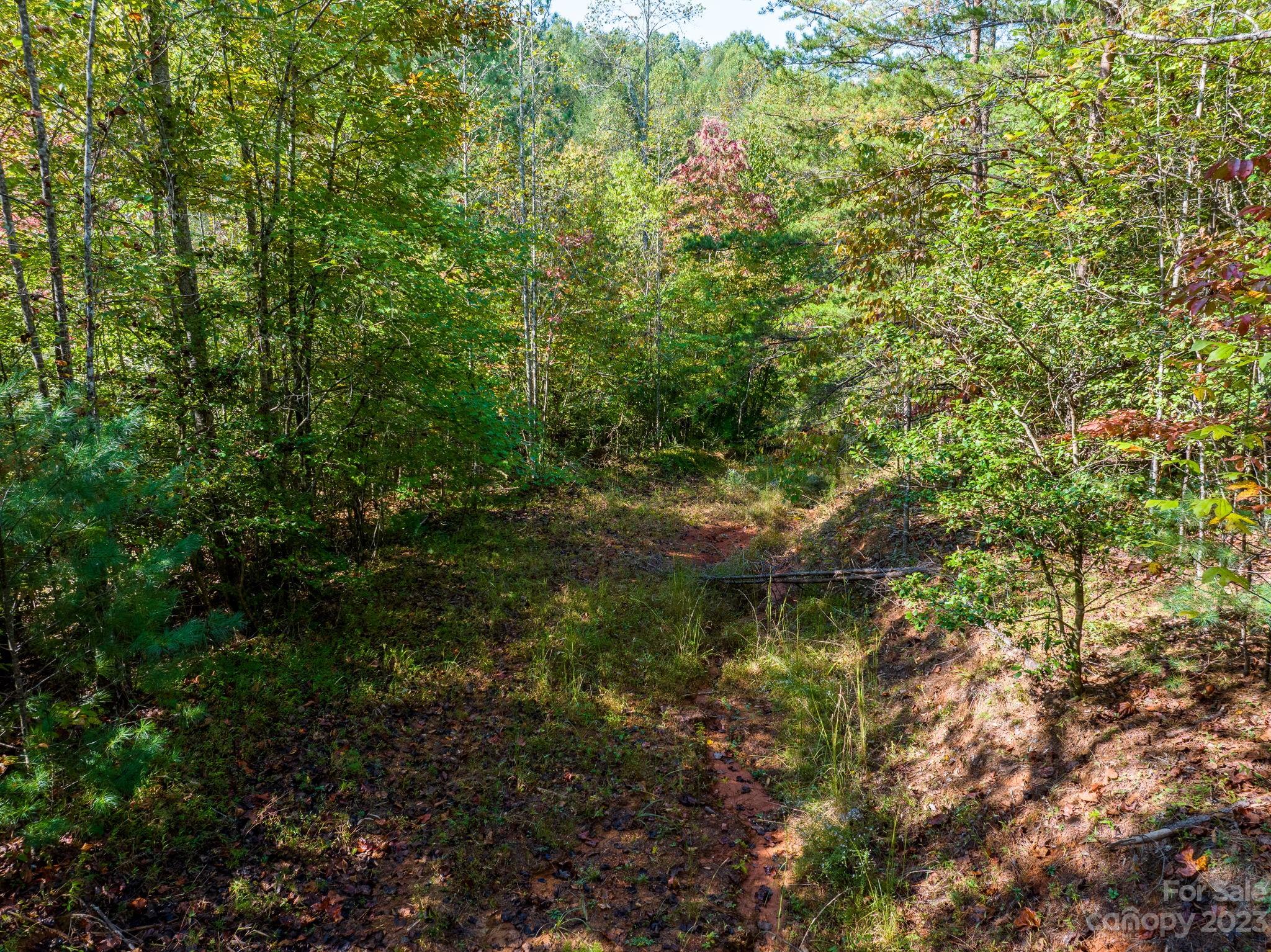 0 Roby Martin Road Lenoir, NC 28645 - Photo 20 of 37 Gallery Image 20