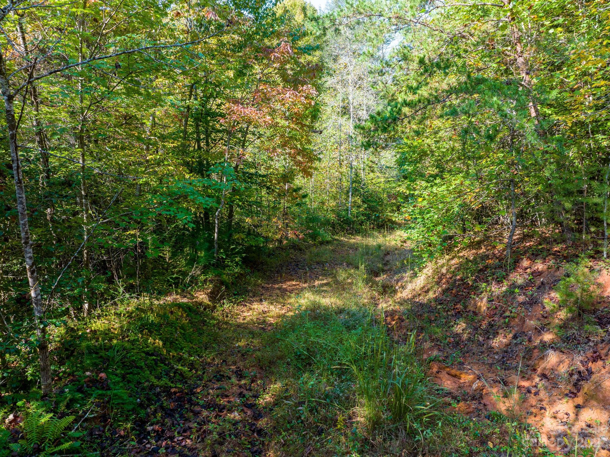 0 Roby Martin Road Lenoir, NC 28645 - Photo 21 of 37 Gallery Image 21