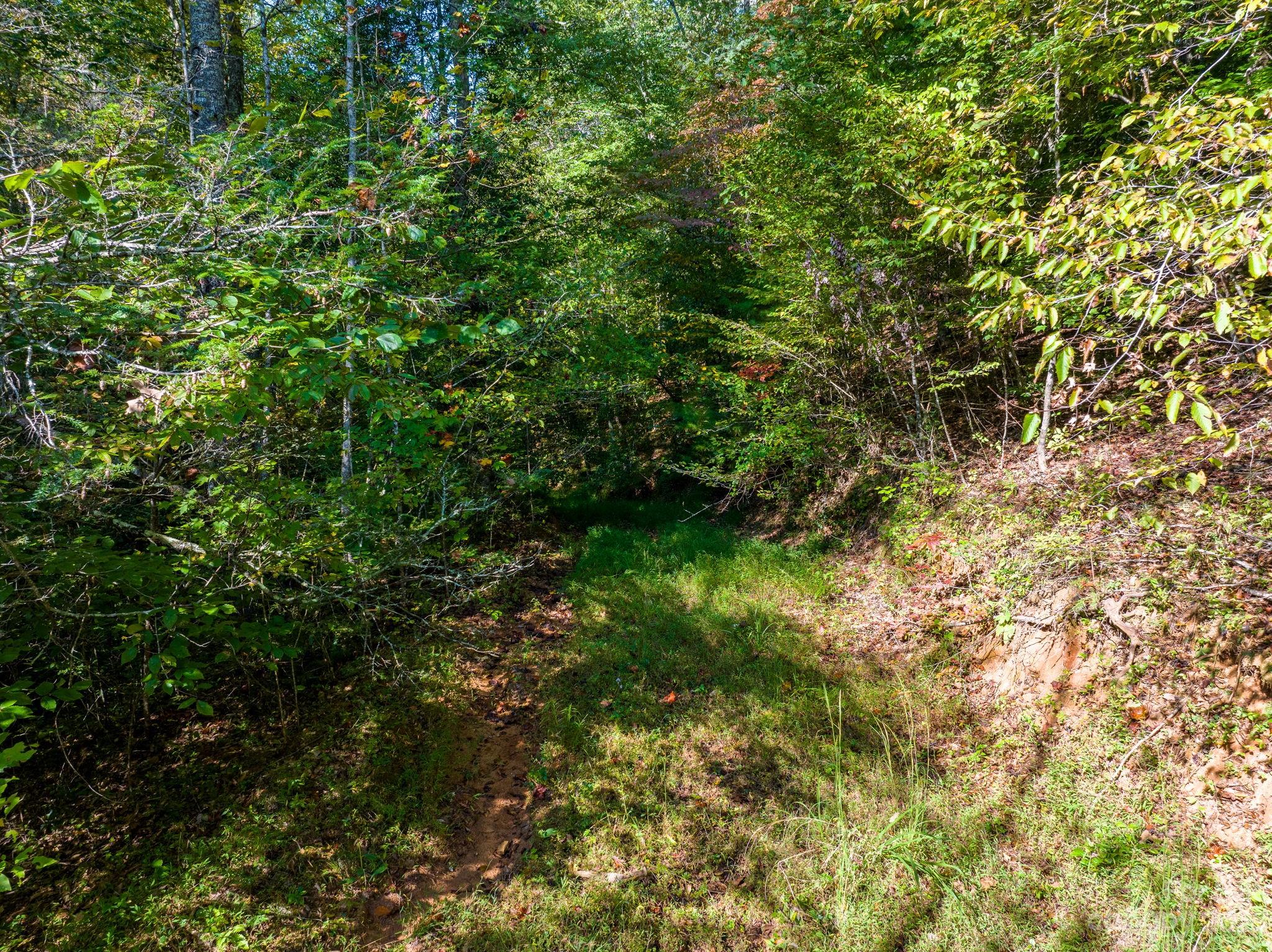 0 Roby Martin Road Lenoir, NC 28645 - Photo 23 of 37 Gallery Image 23