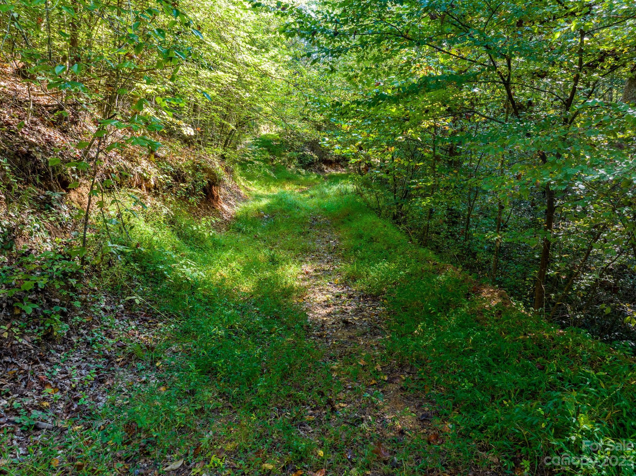 0 Roby Martin Road Lenoir, NC 28645 - Photo 24 of 37 Gallery Image 24