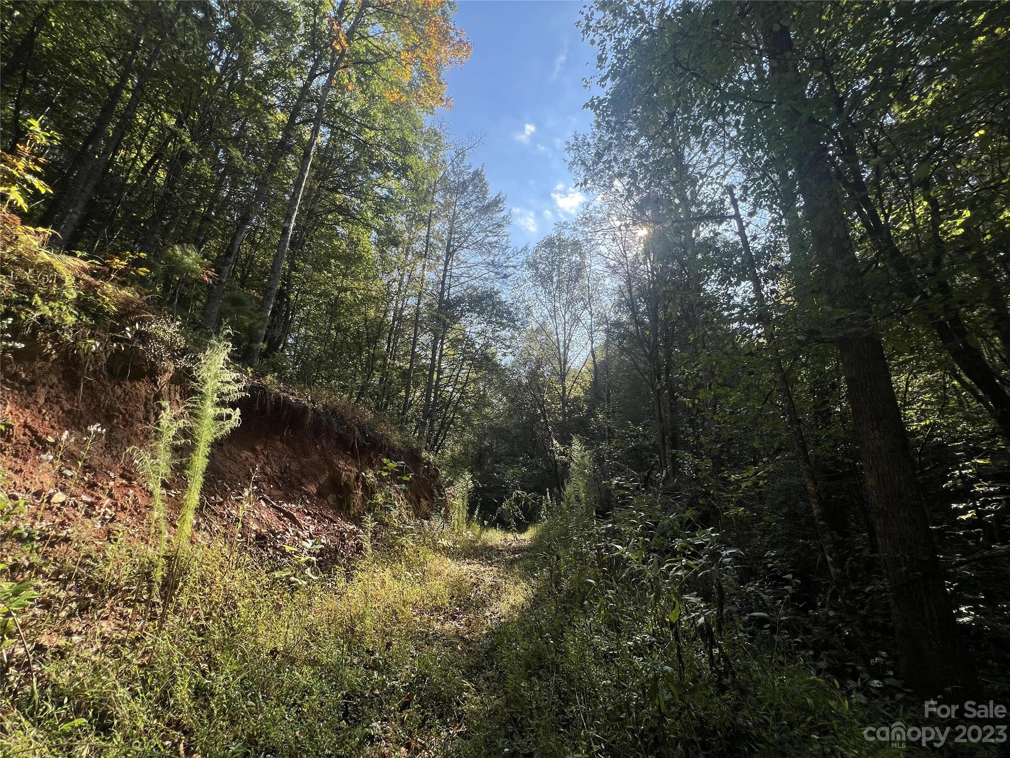0 Roby Martin Road Lenoir, NC 28645 - Photo 27 of 37 Gallery Image 27