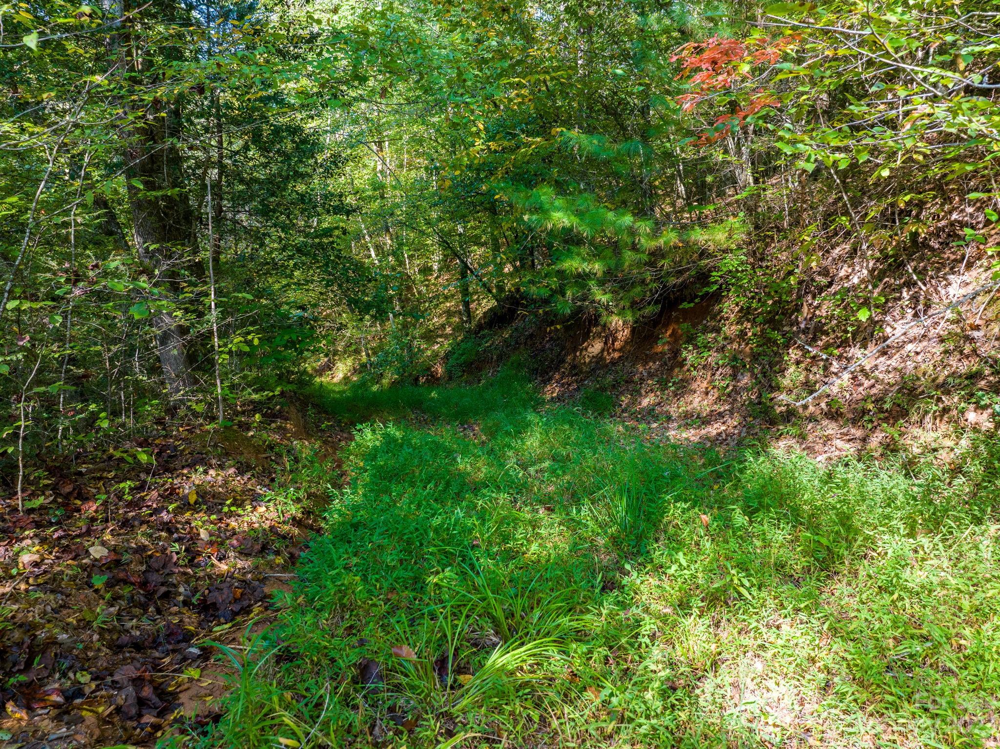 0 Roby Martin Road Lenoir, NC 28645 - Photo 3 of 37 Gallery Image 3